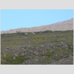 24_065 Almannaskard.jpg